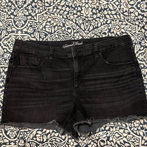 Universal Thread Shorts